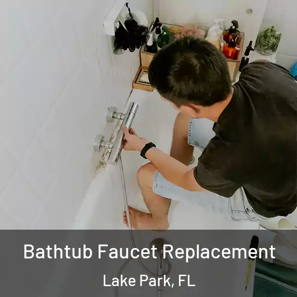  Bathtub Faucet Replacement Lake Park, FL