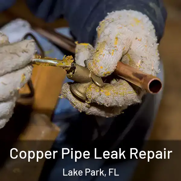 Copper Pipe Leak Repair Lake Park, FL