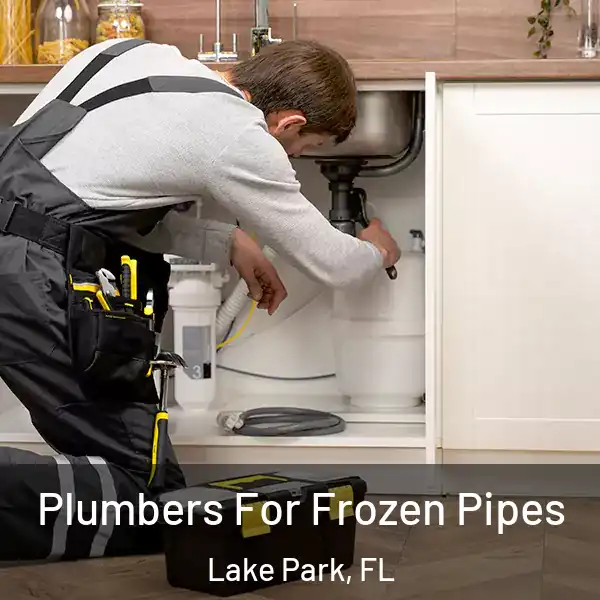  Plumbers For Frozen Pipes Lake Park, FL