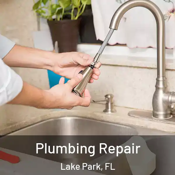 Plumbing Repair Lake Park, FL